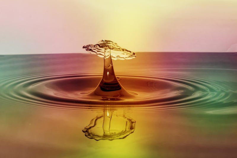 Ripple Insights
